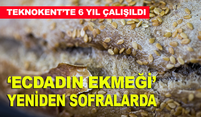 'Ecdadın ekmeği' yüzyıllar sonra yeniden sofralarda