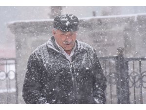 Erzurum, Ardahan ve Kars'ta kar yağışı ve fırtına etkili oluyor