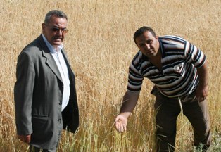 Beyşehir'de çiftçiyi dolu ve sel vurdu