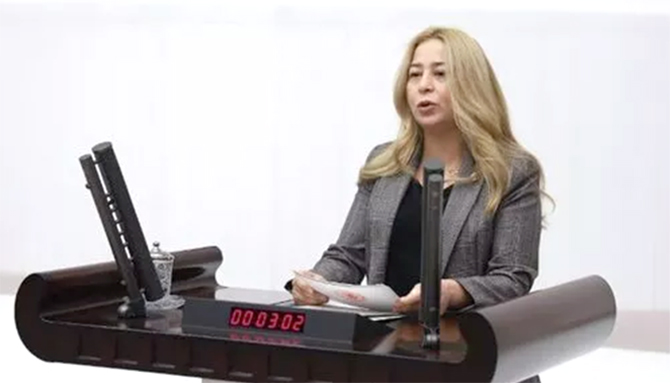 Tuz Gölü’nde ve çevresinde yaşanan kirlilik sorunu meclise taşındı