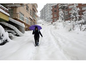 Karadeniz'de kar yağışı etkili oluyor
