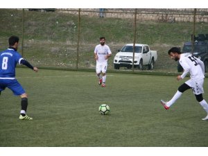 Silvan Aslanspor kendi evinde güldü