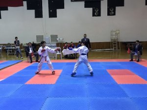 İller Arası Karate Şampiyanası sona erdi