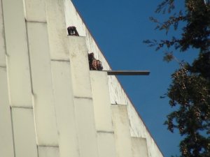 Beyoğlu’nda güvenlik önlemi alınmadan taşınan demirler paniğe neden oldu