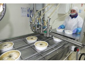 Korona virüsü donmuş su ürünlerine talebi artıracak