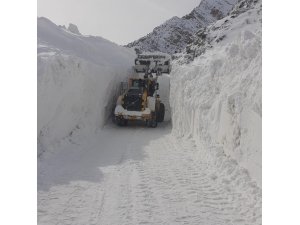 Bahçesaray-Çatak kara yoluna 2 çığ düştü