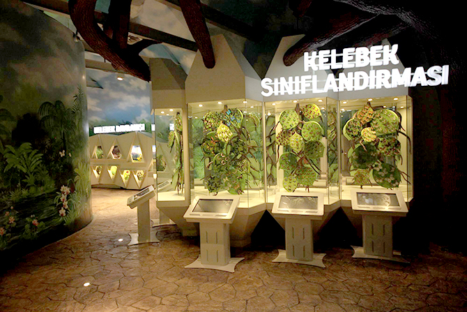 Tropikal Kelebek Bahçesi yenilenen yüzüyle kapılarını açıyor