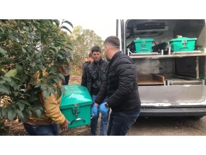 Mevsimlik işçi ölü bulundu