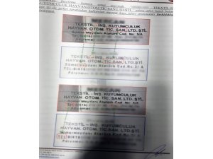 Milyonlarca liralık vurgun yapan çete çökertildi