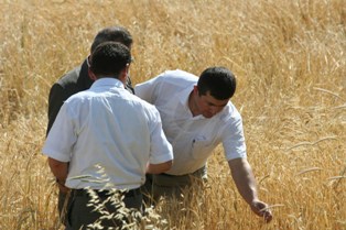 Beyşehir'de 20 bin hektar alan tarıma açılacak