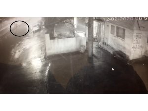 Yolun karşısına geçmek isterken canından oldu