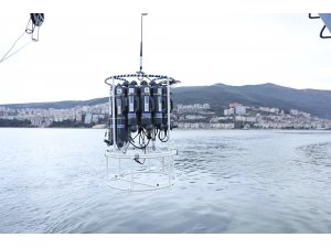 Gemlik Körfezi'nde su kalitesi izlenecek