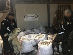 Dev uyuşturucu operasyonu davası 1 Nisan’a ertelendi