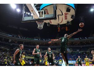 Basketbol: Solgar Vitamin Erkekler Türkiye Kupası