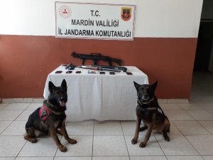 Mardin’de jandarmadan uyuşturucu operasyonu: 6 tutuklama
