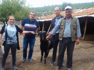 Muğla’da ‘teke değişim’ projesi