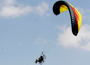 Yaban koyunları paramotorla sayılacak