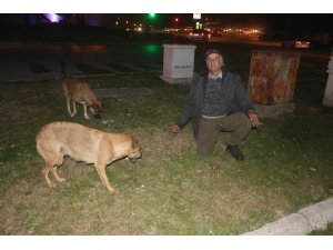 Topladığı şişelerle sokak hayvanlarını besliyor