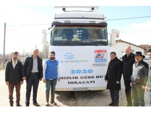 Türkiye’nin ilk damızlık düve ihracatı Eskişehir’den yapıldı