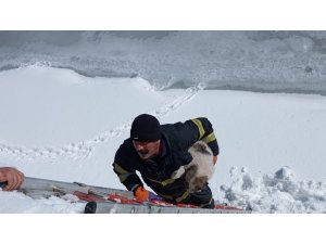 Yüksekova’da dereye düşen yavru köpek kurtarıldı