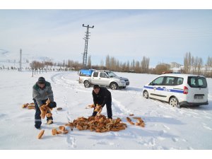 Bünyan Belediyesinden sokak ve yaban hayvanlarına yem desteği