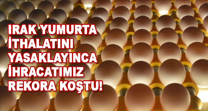 Irak'ın yumurta ithalatı yasağı Suriye ve Kuveyt'e ihracatta rekor getirdi