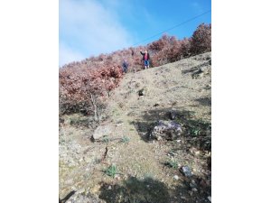 Zihinsel engelli yaşlı adam ormanda ölü bulundu