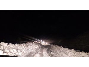 Siirt’te 30 köy yolu ulaşıma kapandı