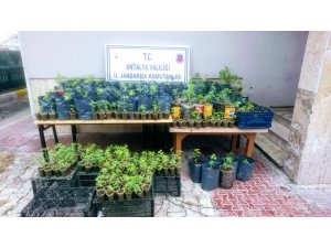 Antalya’da uyuşturucu operasyonu
