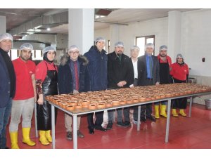 Hamsi köy sütlacı Japonya yolunda