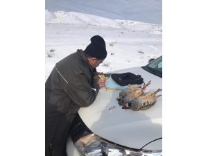 Kurallara uymayan avcılara suçüstü