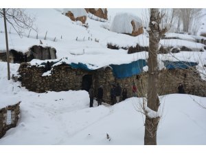 Bitlis'te ahırda unutulan mum nedeniyle çıkan yangında 70 hayvan telef oldu