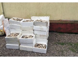 Kaçak avlananlara ceza