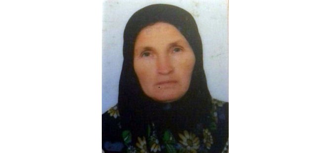 Nallıhan'da kaybolan alzaymır hastası kadın aranıyor