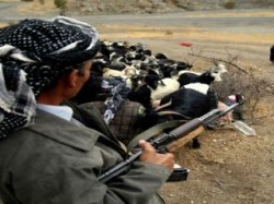 Hakkari'de 1 korucu öldü!