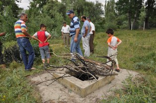 Bağ evine girip ağaç çaldılar