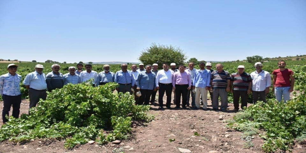 Çiftçilere ilaçlama uyarısı