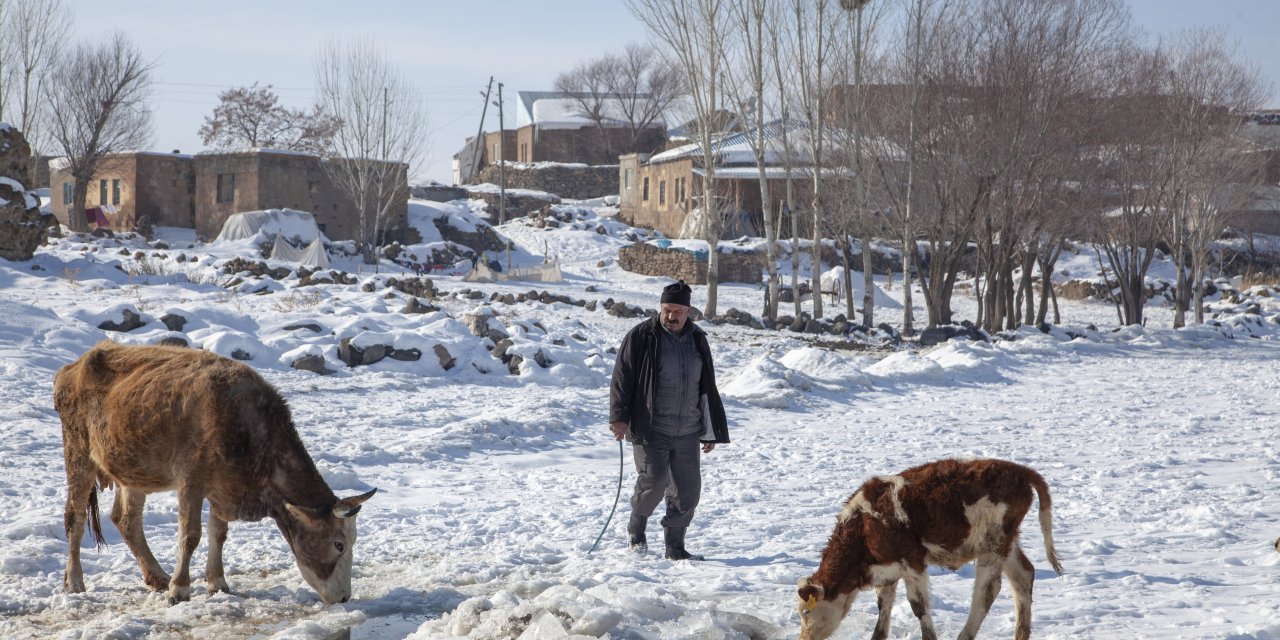 Bitlis'te besiciler, yüzeyi donan gölde buzu kırıp hayvanlara su içiriyor