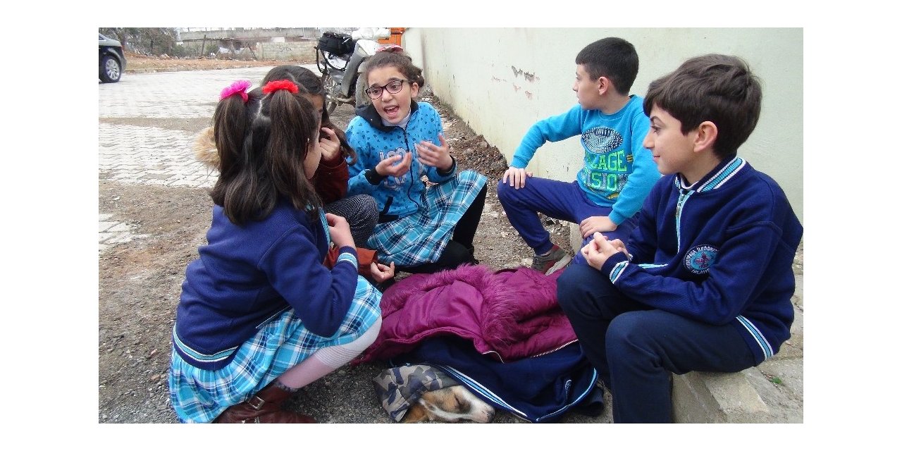 Yaralı köpeğin altına örtü, üzerine mont örttüler