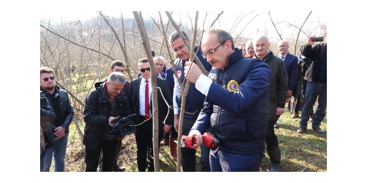 Vali Yavuz: “Fındık üretimi yüzde 10 artarsa, 400 milyon lira ek gelir olur”