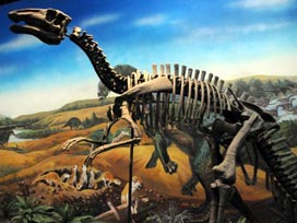 Dünyanın en büyük dinozor mezarlığı