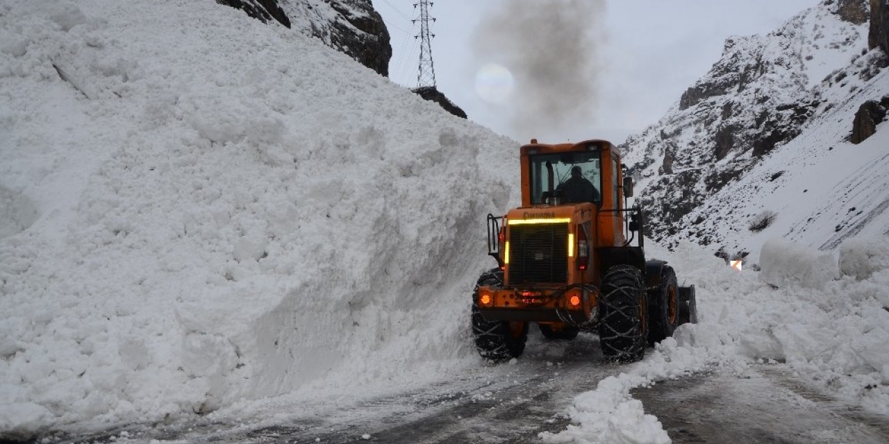 Hakkari-Çukurca kara yoluna çığ düştü