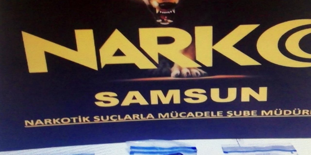 Satışa hazır bonzai ile yakalandı