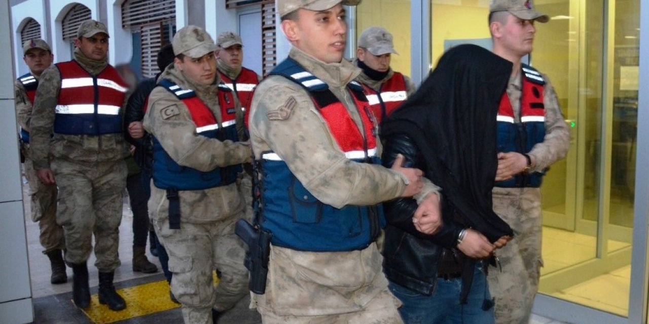 Şanlıurfa’da hayvan hırsızlığı: 4 tutuklama