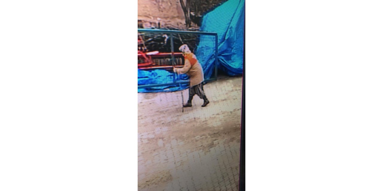 Nallıhan’da kayıp olan yaşlı kadın 6 gündür bulunamadı