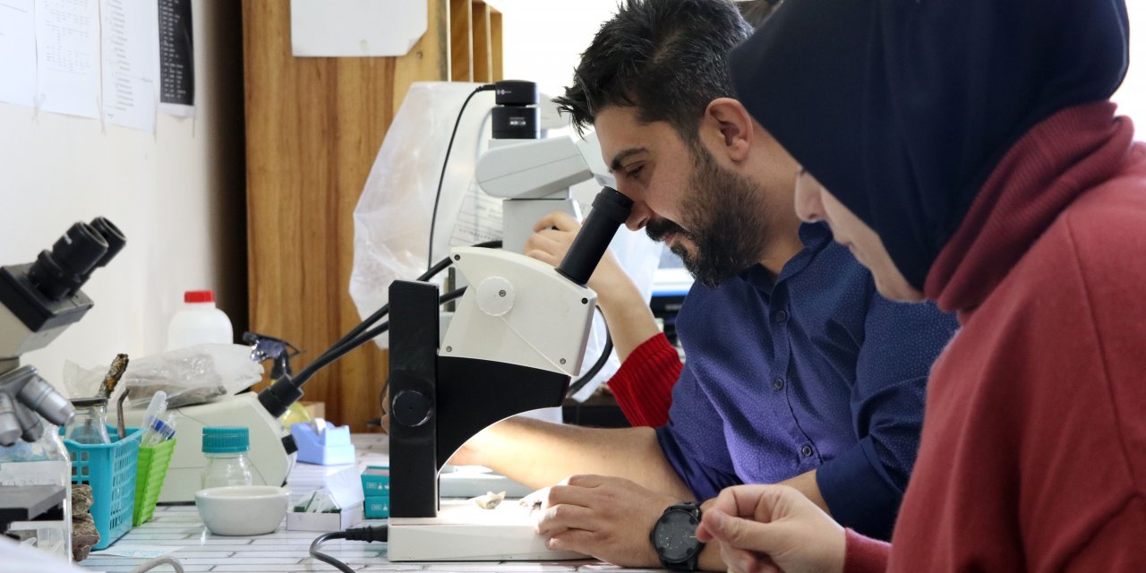 Prof. Dr. Gökhan Halıcı: "İklim değişikliği Antarktika'yı yeşillendiriyor"