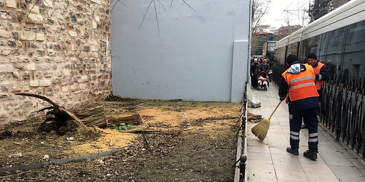 Gülhane'de devrilen ağaç tramvay seferlerini aksattı