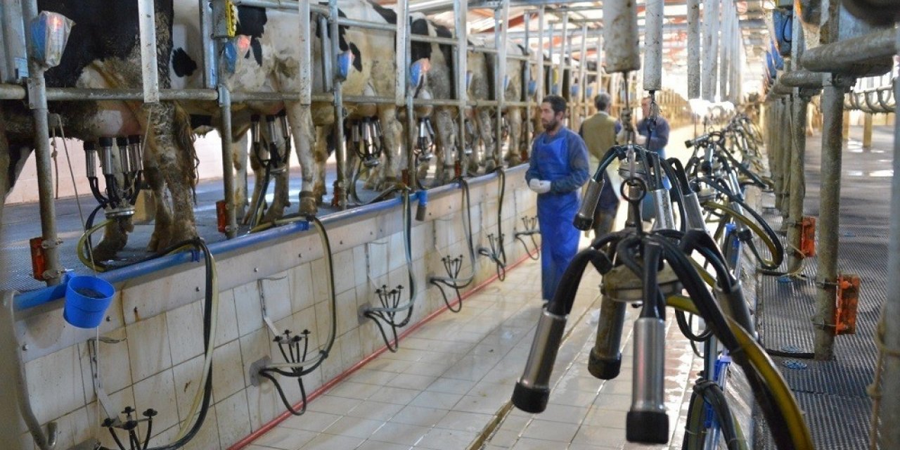 Çiğ Süt Desteklemeleri başladı