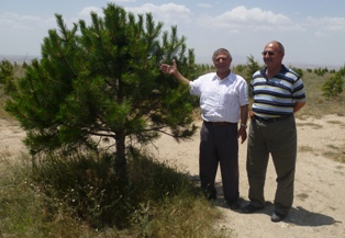 Bahşişleri hatıra ormanı için harcıyor