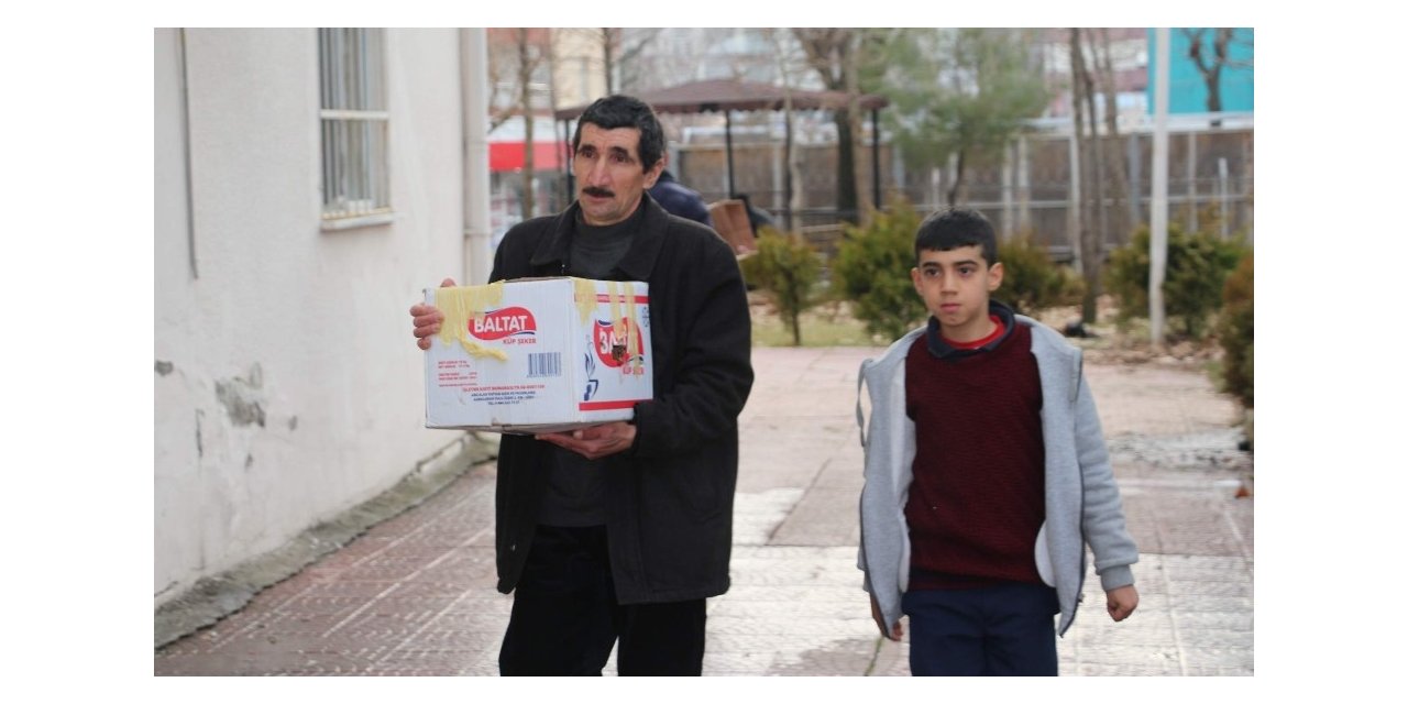 Otomobilin çarptığı kediye baba ve oğlu sahip çıktı